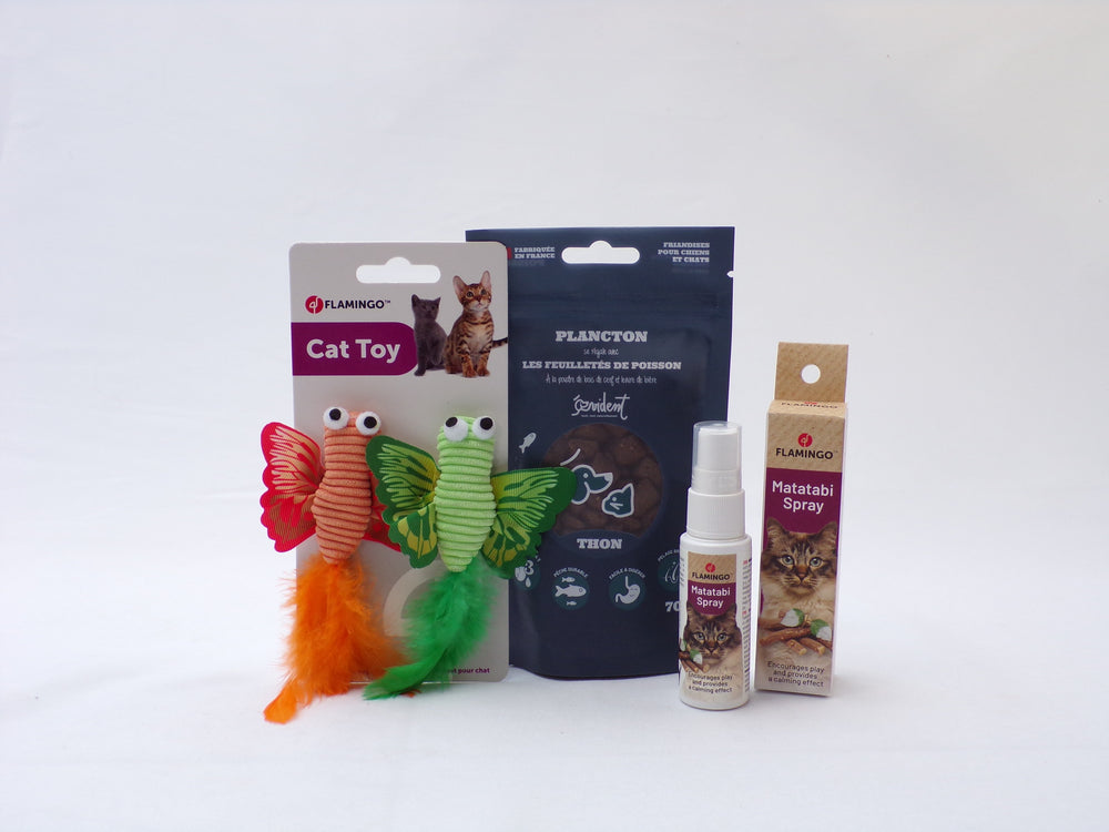 Contenu de la Box Chat : jouets papillons à plumes, friandises et spray
