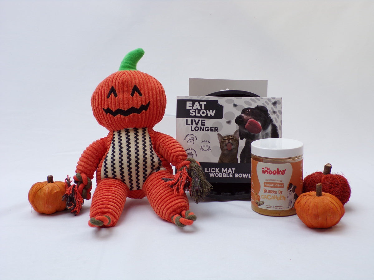 Contenu de la Box Thématique d'automne : peluche citrouille, tapis de léchage et beurre de cacahuète